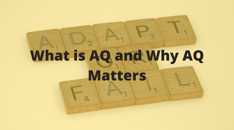 What is AQ and Why AQ Matters